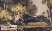 Homosassa Jungle (mk44) Winslow Homer